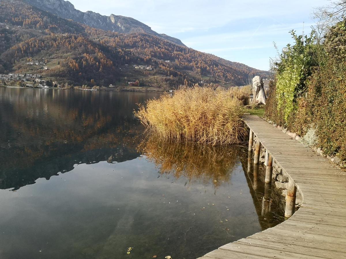 Apartamento Il Riccio Del Castagno Novaledo Exterior foto